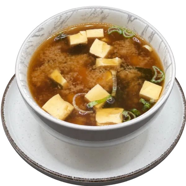 SOPA MISO